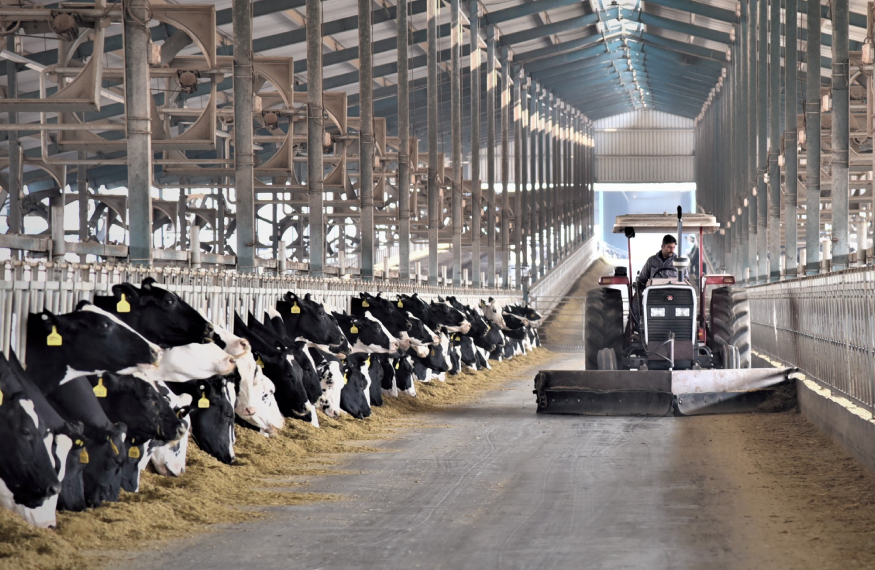Interloop Dairies Farm