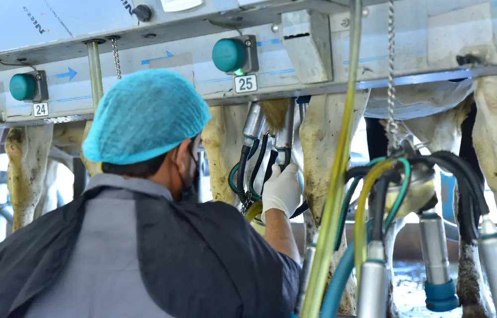 Process monitoring