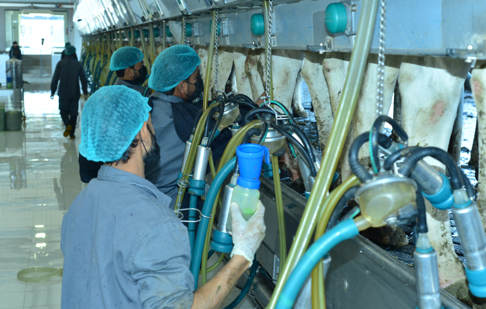 Process monitoring