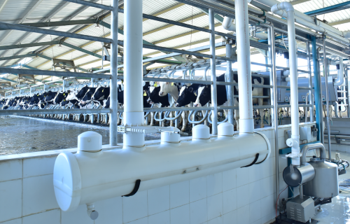 Practical sustainability